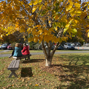 Autumn at the Arboretum 1