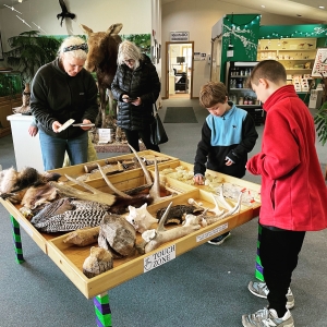 Viles Arboretum Hands on Learning