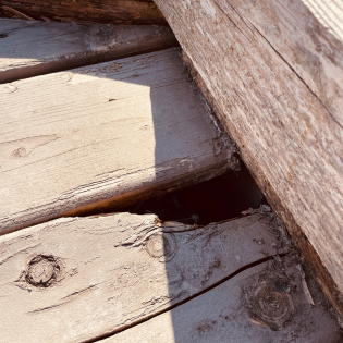 Viles Arboretum Boardwalk damage